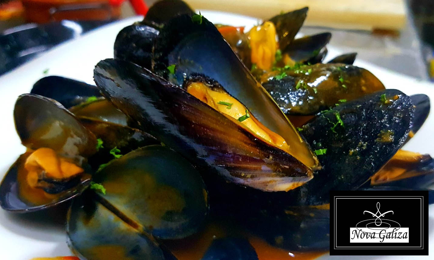 Novagalizafotos_0020_titol 2 Copia 26